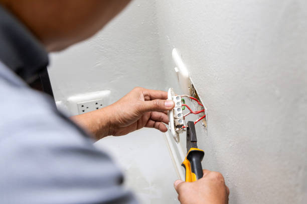 Best Electrician for Home Renovation  in Rogersville, AL