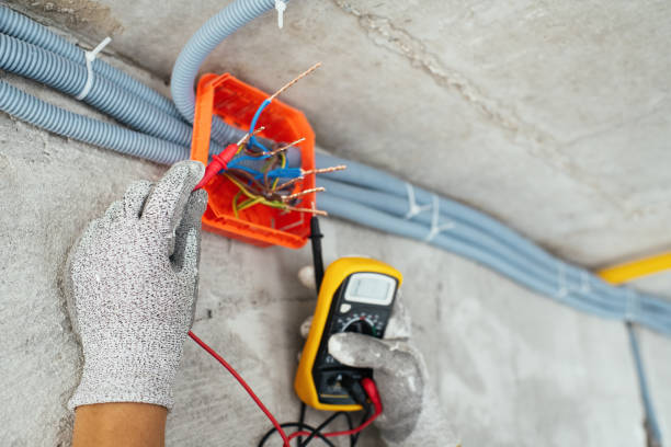 Best Ceiling Fan Installation Electrician  in Rogersville, AL